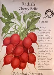 Radish Cherry Belle Certified Organic Heirloom Seeds 350 Seeds
