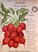 Radish Cherry Belle Certified Organic Heirloom Seeds 350 Seeds