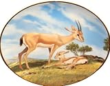 Will Nelson Last of Their Kind Plate The Slender Horned Gazelle