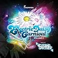 Wolfgang Gartner Presents:Electric Daisy Carnival, Vol.2