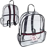 Drivers Select Dale Earnhardt Clear Backpack