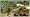 The Settlers: Rise Of An Empire (PC DVD)