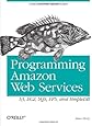 Programming Amazon Web Services: S3, EC2, SQS, FPS, and SimpleDB
