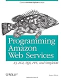 Programming Amazon Web Services: S3, EC2, SQS, FPS, and SimpleDB