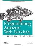 Programming Amazon Web Services: S3, EC2, SQS, FPS, and SimpleDB
