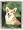 Welsh Corgi