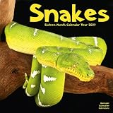 2009 Snakes Wall Calendar