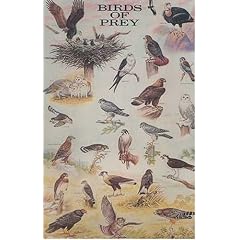 Birds of Prey (Posters)
