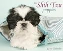 Just Shih Tzu Puppies 2010 Calendar