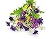 Beebel™ 2PCS Cineraria Artificial Flower Bouquet Home Office Decor (Deep Purple)