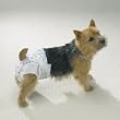 MEDIUM - Clean Go Pet Disposable Doggy Diapers