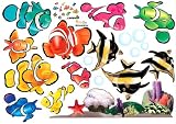 12 Tropical Fish & Coral Reef Nursery/Kids Room Wall Art Sticker Decals
