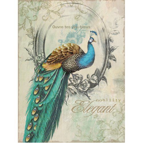 Yosemite Home Decor YFSPARROWL Peacock Poise I Animal Portrait Linen Print Artwork price