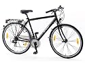 Ortler Fahrrad Lindau Herren (2012)