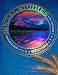 Social Studies: Regions (Scott Foresman Social Studies)