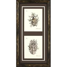 Corals on Berge A Wall Art - 12x26"