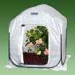 FlowerHouse PlantHouse 3
