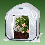 FlowerHouse PlantHouse 3