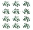 ONE Dozen (12 pieces) of 28" Weeping Ficus Sprays