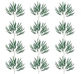 ONE Dozen (12 pieces) of 28" Weeping Ficus Sprays
