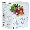 Kit Psychedelischer Salat von Plant Theatre - 5 fantastische Salatsorten zum Z�chten - Ein tolles Geschenk