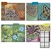 Karen Foster Design Decorative File Folders Mystique, 8 Folders