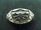 Katekyo Hitman Reborn Cosplay Costume Accessories - Vongola Metal Ring of Cloud V2