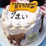 【犬用】ペット栄養管理士の手作り お誕生日ケーキ(直径15cm)