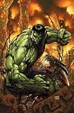 Incredible Hulk Michael Turner Poster