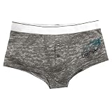 Philadelphia Eagles Ladies Boyfriend Brief Underwear - XL