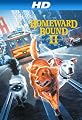 Homeward Bound II: Lost In San Francisco