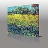 VINCENT VAN GOGH View Of Arles With Irises Gallery Framed Canvas Art Print Ready To Hang NEW