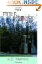 The Fire Stone