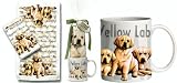 Buy ~~ Yellow Lab Labrador Puppy Dog Breed Gift Set ~~ Includes 11 ounce COFFEE MUG and matching Tea Towel