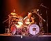 Metallica - Lars Ulrich - Art Poster Print Kunst Plakat Drucken (20 x 24 Inches von Metallica - alle Infos
