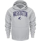 Washington Huskies Grey Champion Powerblend® Hood