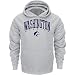 Washington Huskies Grey Champion Powerblend&reg; Hood