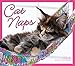 Cat Naps 2016 Boxed/Daily Calendar