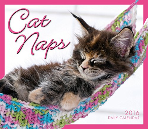 Cat Naps 2016 Boxed/Daily Calendar, by Sellers Publishing
