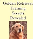 Golden Retriever Training Secrets Revealed