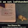 Yes Means No