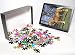 Photo Jigsaw Puzzle of horse-welsh cob from Animal Photography