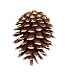 SPI Home 30746 Pinecone Doorknocker