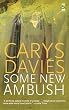 Some New Ambush (Salt Modern Fiction)