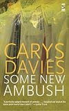 Some New Ambush (Salt Modern Fiction)