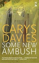 Some New Ambush (Salt Modern Fiction)