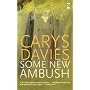 Some New Ambush (Salt Modern Fiction)