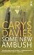 Some New Ambush (Salt Modern Fiction)