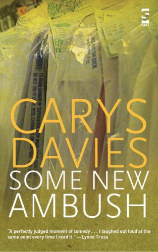 Some New Ambush (Salt Modern Fiction)
