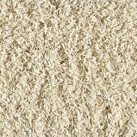 Shaw Super Chic Shag Area Rug 8'x10' That's The Way Ivory by Shaw Shag